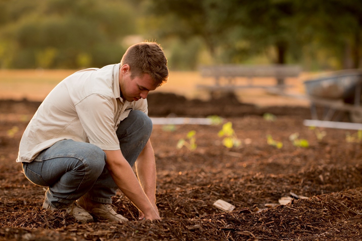 Linkshänder Gartenschere